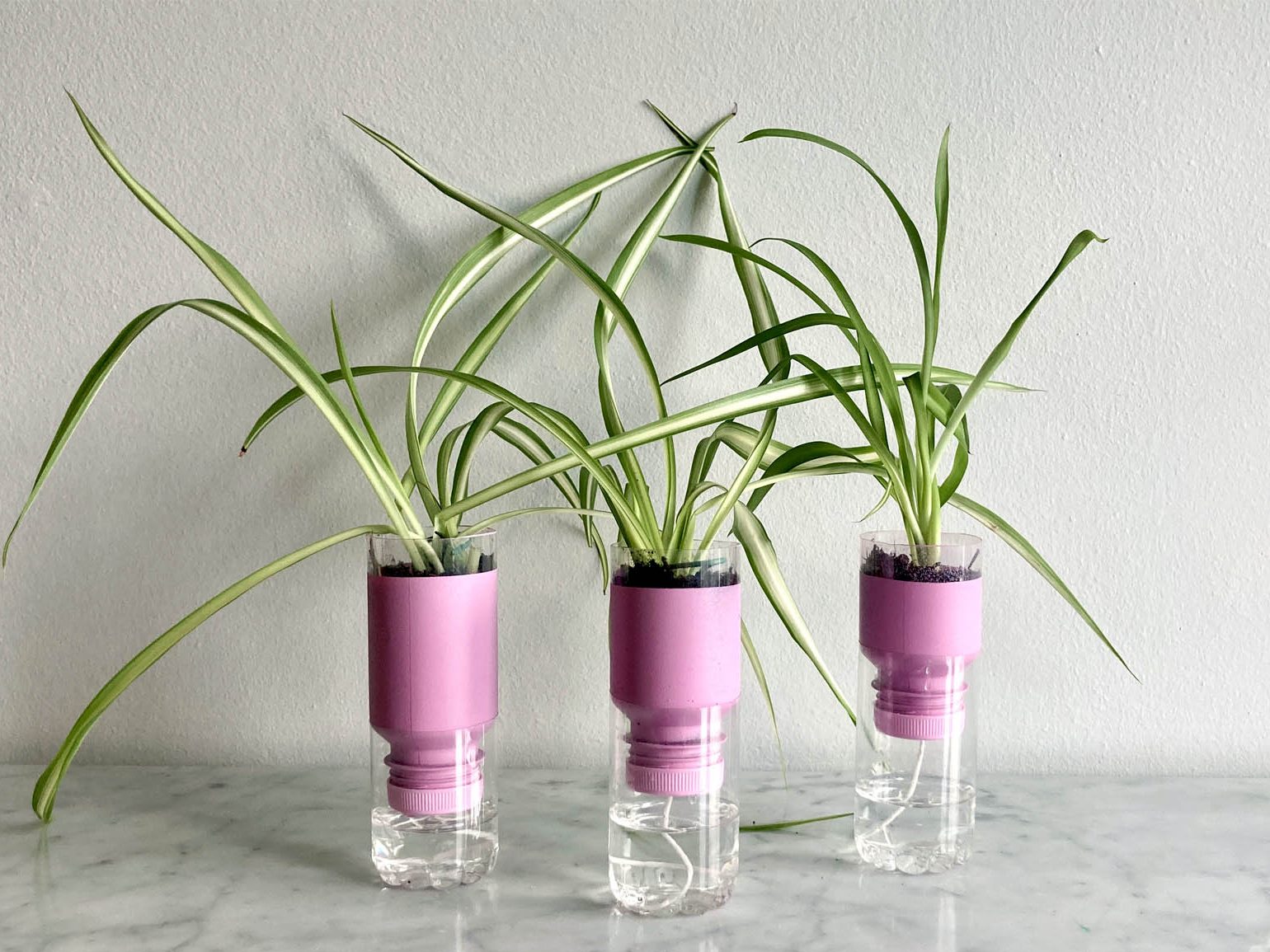 Vaso autoirrigante fai da te