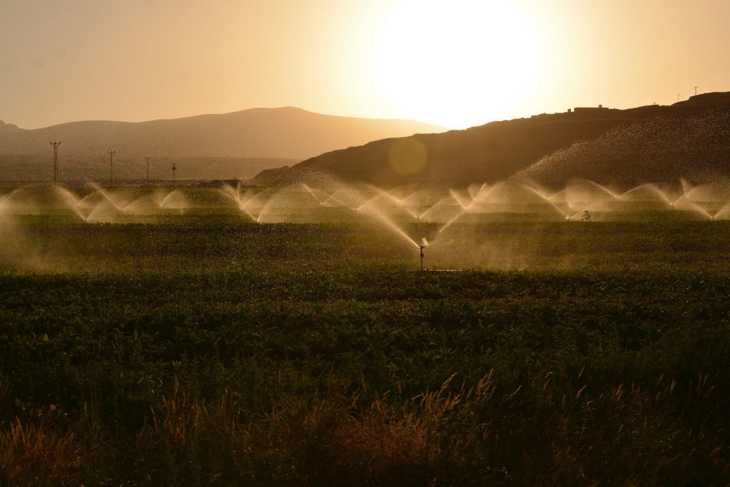 consumo acqua