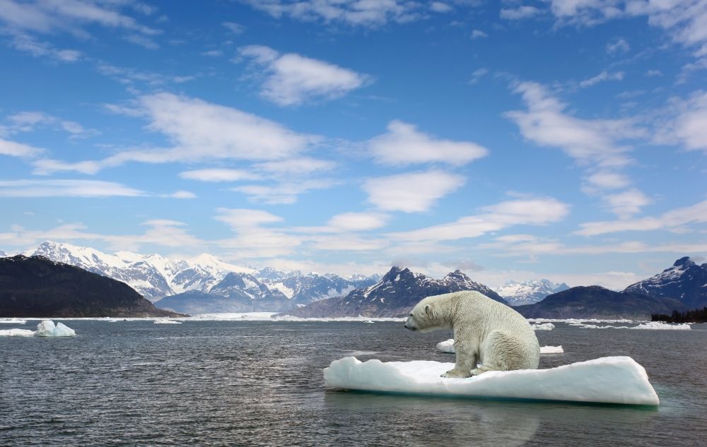 Riscaldamento globale: cause, conseguenze e soluzioni per il futuro del pianeta