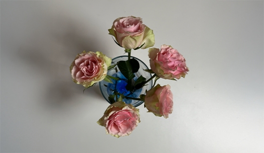 REALIZZIAMO UN BOUQUET FAI DA TE CON IL RICICLO CREATIVO