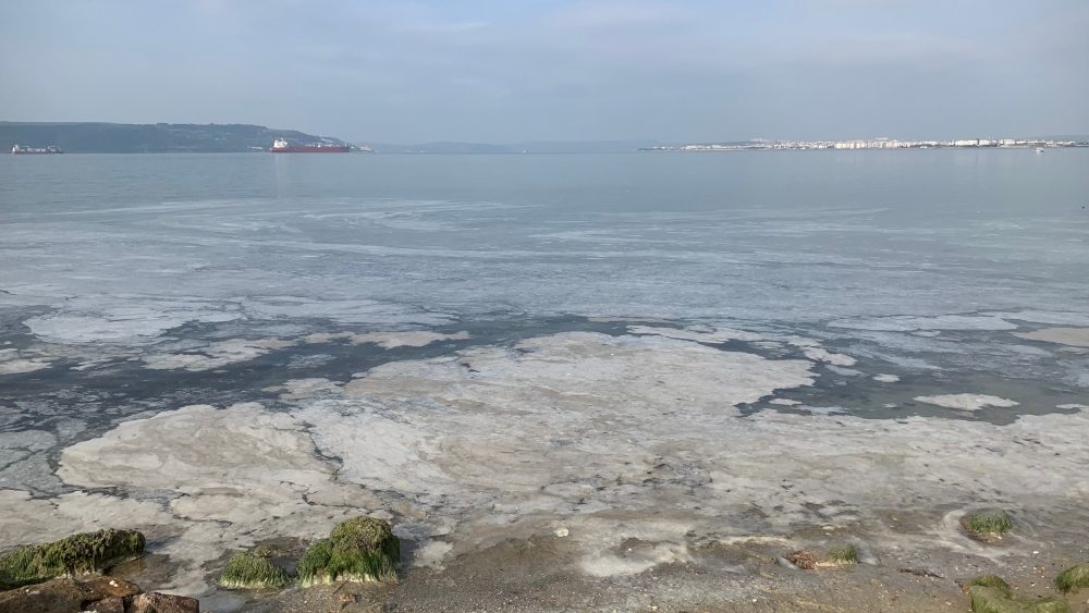 Cos’è l’eutrofizzazione delle acque e come influisce sull’ambiente