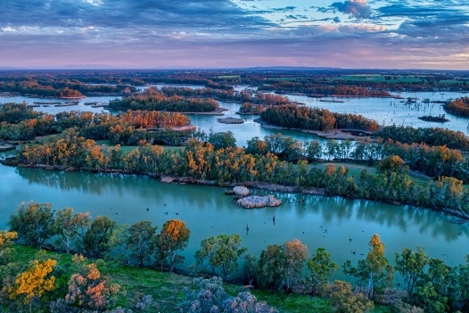 Cos’è l’eutrofizzazione delle acque e come influisce sull’ambiente