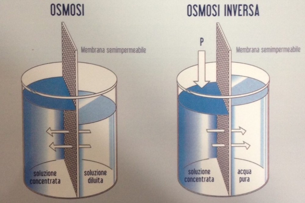 Dalla chimica alla tavola: che cos’è l’osmosi e quali sono i suoi segreti